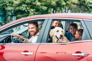 4 Dicas para Preparar seu Cachorro para uma Viagem de Carro